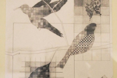 Square One Series
